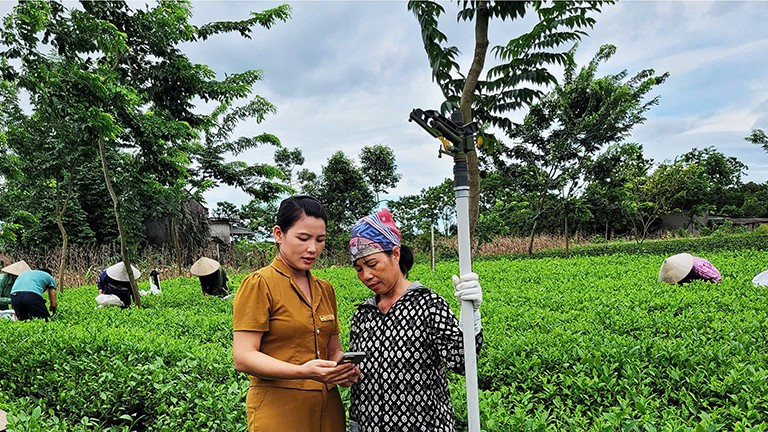 Cán bộ xã Vô Tranh hướng dẫn người dân ứng dụng công nghệ sản xuất chè chất lượng cao. z6904799045470-63552156fbdb8d3c7d5e67c022871cd2.jpg