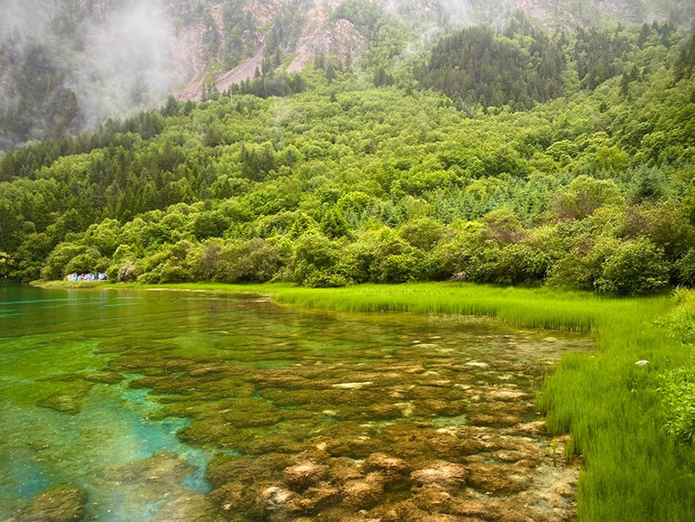 Sắc xanh mướt mát làm nên danh xưng "thiên đường nơi hạ giới" cho Cửu Trại Câu 41.jpg