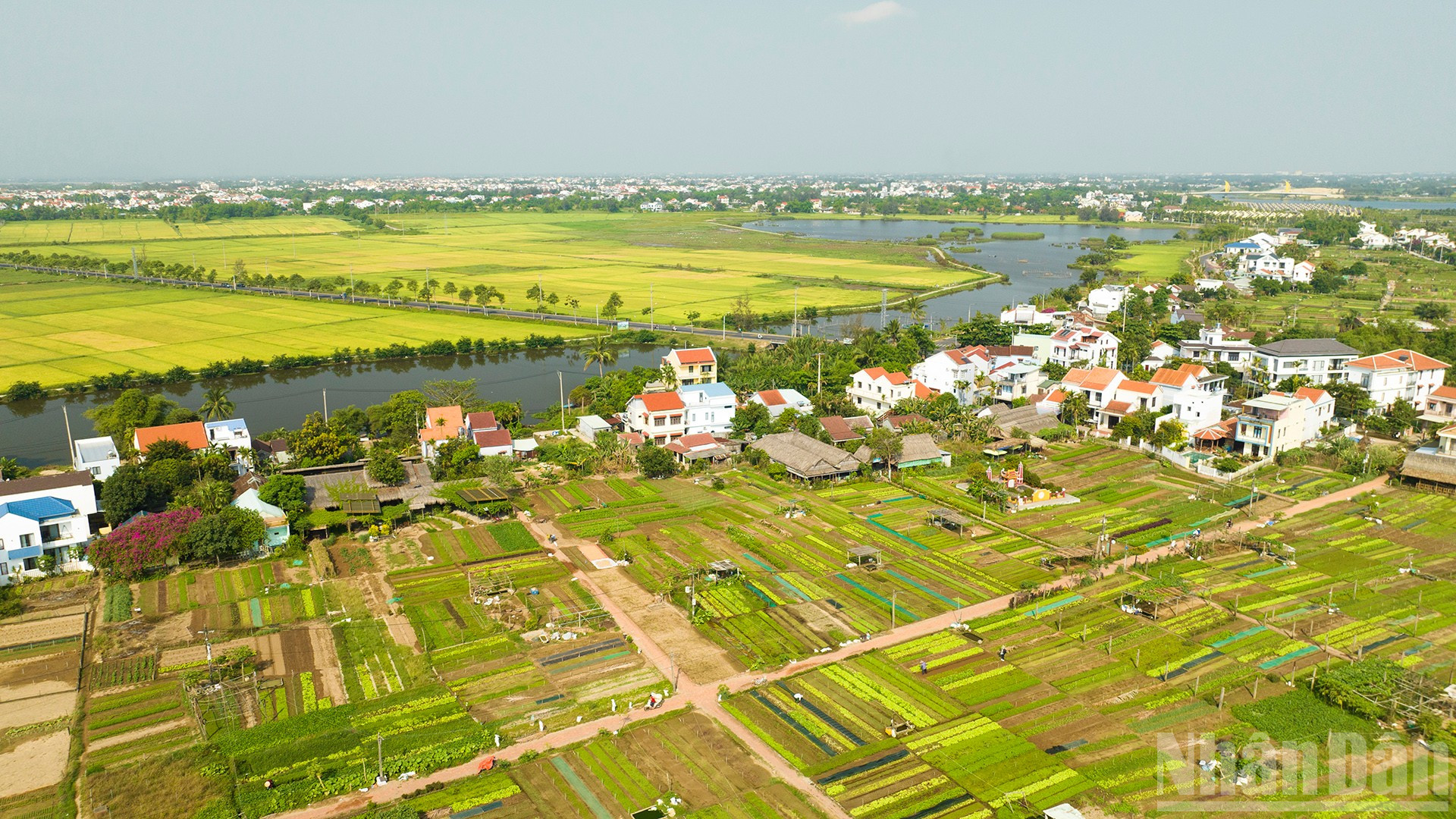 Làng rau Trà Quế một trong những điểm đến ưa thích của khách du lịch. ndo_br_8.jpg