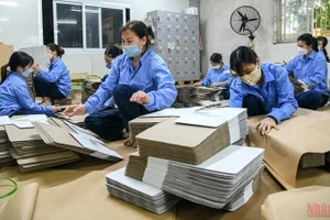 (Ảnh minh họa: THÀNH ĐẠT)