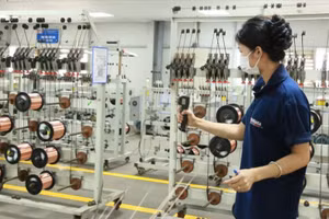 Lao động Công ty TNHH Thành Đồng tại Cụm công nghiệp Dốc Sặt, Từ Sơn, Bắc Ninh trong dây chuyền sản xuất. (Ảnh AN TRÂN)