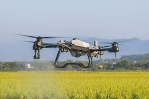 Sử dụng drone phun thuốc bảo vệ thực vật cho lúa tại Công ty cổ phần thiết bị bay AgriDrone Việt Nam. (Ảnh AgriDrone Việt Nam)