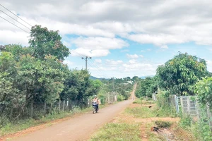 Những “vùng đệm xanh” yên bình của cây trái, vườn tược khu vực biên giới.