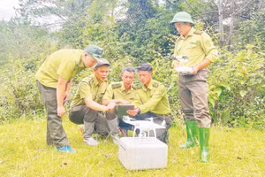 Ứng dụng công nghệ số giúp ngành kiểm lâm Sơn La thực hiện tốt nhiệm vụ quản lý, bảo vệ rừng.