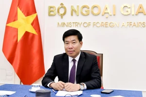 Ủy viên Trung ương Đảng, Thứ trưởng Ngoại giao Nguyễn Mạnh Cường. (Ảnh; Bộ Ngoại giao)