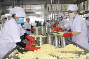 Nhiều doanh nghiệp FDI sản xuất kinh doanh hiệu quả tại Vĩnh Long.