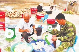 Sản phẩm măng lục trúc lâm sinh Ngọc Châu giúp người dân xã Ngọc Thiện thoát nghèo.