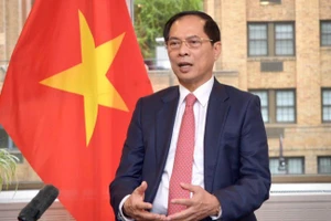 Phó Thủ tướng, Bộ trưởng Ngoại giao Bùi Thanh Sơn. (Ảnh: Bộ Ngoại giao cung cấp)