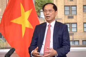 Phó Thủ tướng, Bộ trưởng Ngoại giao Bùi Thanh Sơn. (Ảnh: Bộ Ngoại giao cung cấp)