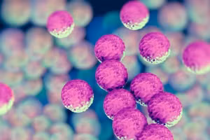 (Ảnh minh họa. Nguồn: healthcare/TTXVN)