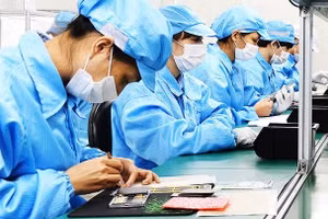 (Ảnh minh họa: NGUYỆT ANH)