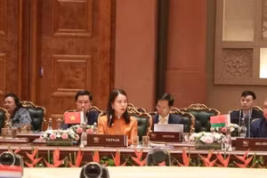 Thứ trưởng Ngoại giao Nguyễn Minh Hằng phát biểu tại Hội nghị Bộ trưởng Ngoại giao Nhóm các nền kinh tế mới nổi (BRICS) mở rộng. (Ảnh: TTXVN)