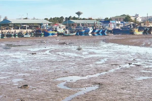 Cảng cá Phú Hài thường xuyên bị bồi lấp.