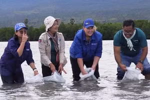 Đại diện các cơ quan chức năng Campuchia phối hợp FAO thả cua giống tại vùng nước ven biển. (Ảnh: Khmer Times)