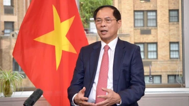 Phó Thủ tướng, Bộ trưởng Ngoại giao Bùi Thanh Sơn. (Ảnh: Bộ Ngoại giao cung cấp)