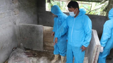 Các cấp chính quyền và lực lượng chức năng trong tỉnh đang nỗ lực kiểm soát và phòng, chống dịch.