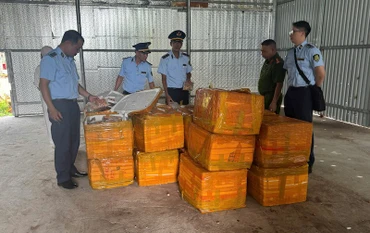 Hơn 1 tấn trứng gà non không rõ nguồn gốc, xuất xứ bị lực lượng Quản lý thị trường Quảng Ninh thu giữ.