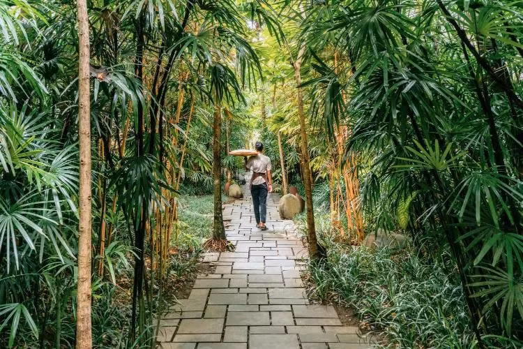 ubud-bali.jpg