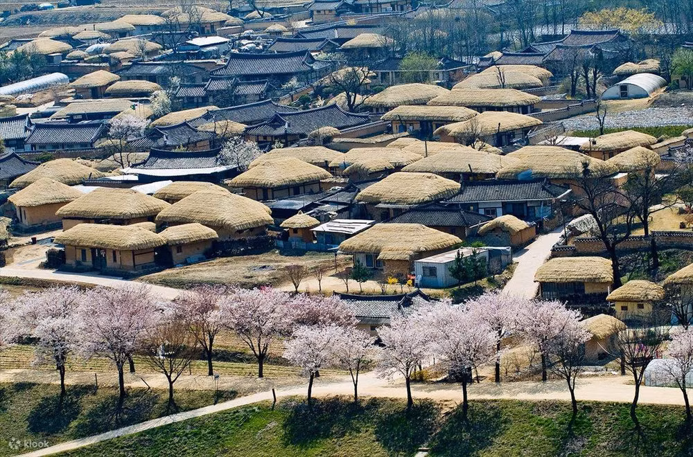 Khung cảnh làng Hahoe. (Ảnh: Booking.com)
