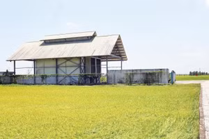 Dự án kho lạnh thông minh đạt tiêu chuẩn châu Âu tại xã Bình Phú đã khánh thành hơn 4 năm vẫn chưa đưa vào khai thác sử dụng.