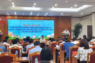 Quang cảnh hội nghị.