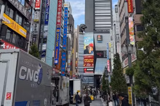 Tokyo hấp dẫn du khách Việt Nam bởi nhịp sống đô thị năng động và cảnh sắc mùa thu lãng mạn. (Ảnh: Trung Hiếu)