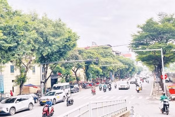 Phố Trần Quang Khải, Thành phố Hà Nội (Ảnh MINH VÂN)