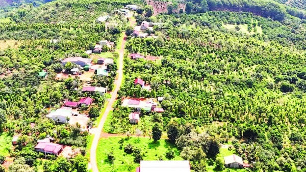 Hơn 20 năm, hàng chục hộ dân thôn 5, xã Quảng Sơn sinh sống, phát triển sản xuất bền vững trên vùng kinh tế mới nhưng chưa được cấp đất ở, đất sản xuất để ổn định cuộc sống.