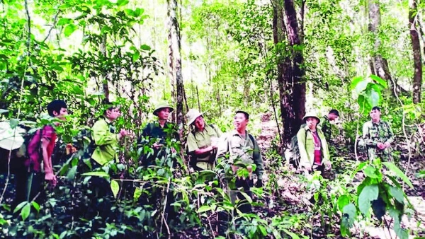 Các hộ nhận khoán và lực lượng chuyên trách tuần tra, bảo vệ rừng.