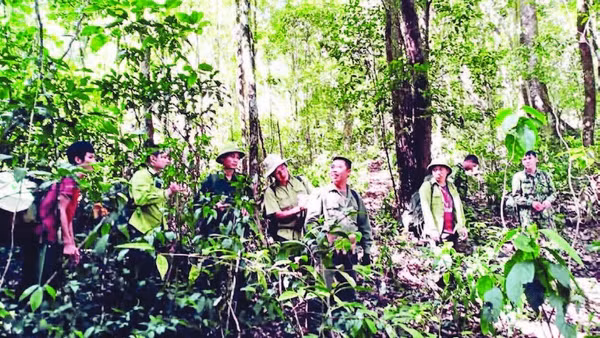 Các hộ nhận khoán và lực lượng chuyên trách tuần tra, bảo vệ rừng.
