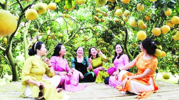 1. Tổng số du khách đến Bắc Ninh năm 2025 ước đạt hơn 6 triệu người.