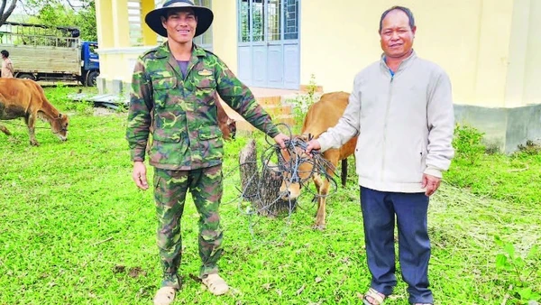 Người dân xã Ia Phí vui vẻ nhận bò giống sinh sản từ Chương trình mục tiêu quốc gia về giảm nghèo bền vững, hỗ trợ người dân vươn lên thoát nghèo.