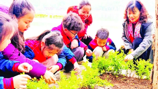 Các em học sinh phường Hai Bà Trưng được hướng dẫn chăm sóc cây xanh trên địa bàn.