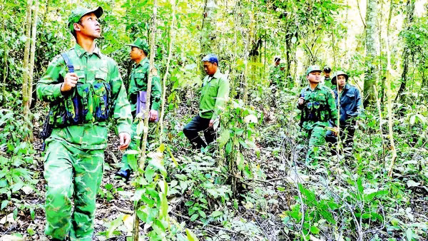 Ban Quản lý Rừng phòng hộ Vành đai biên giới phối hợp lực lượng Bộ đội Biên phòng thực hiện tuần tra rừng trên địa bàn biên giới phía tây tỉnh Lâm Đồng.