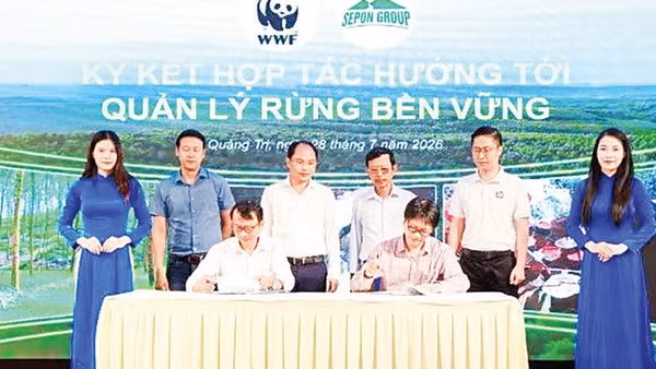 Ký kết hợp tác hướng tới quản lý rừng bền vững (Ảnh HOÀNG PHÚC)