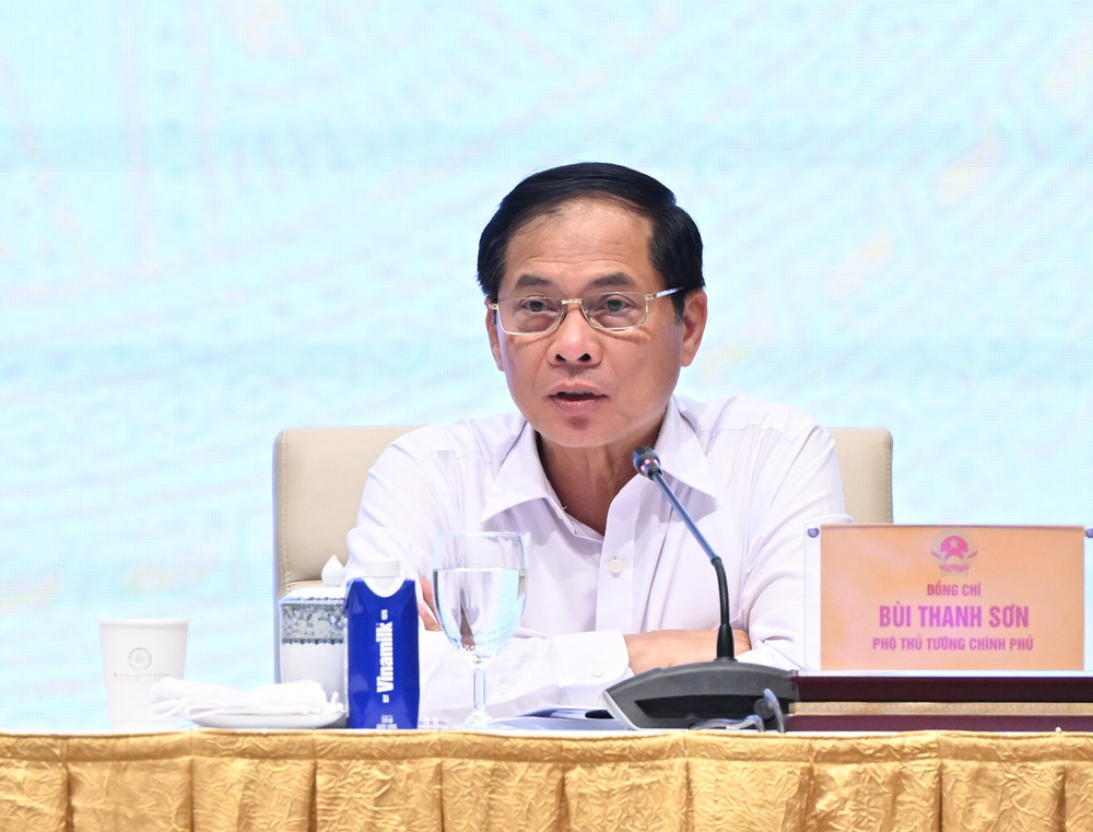 Phó Thủ tướng, Bộ trưởng Ngoại giao Bùi Thanh Sơn phát biểu. dsc-6246.jpg