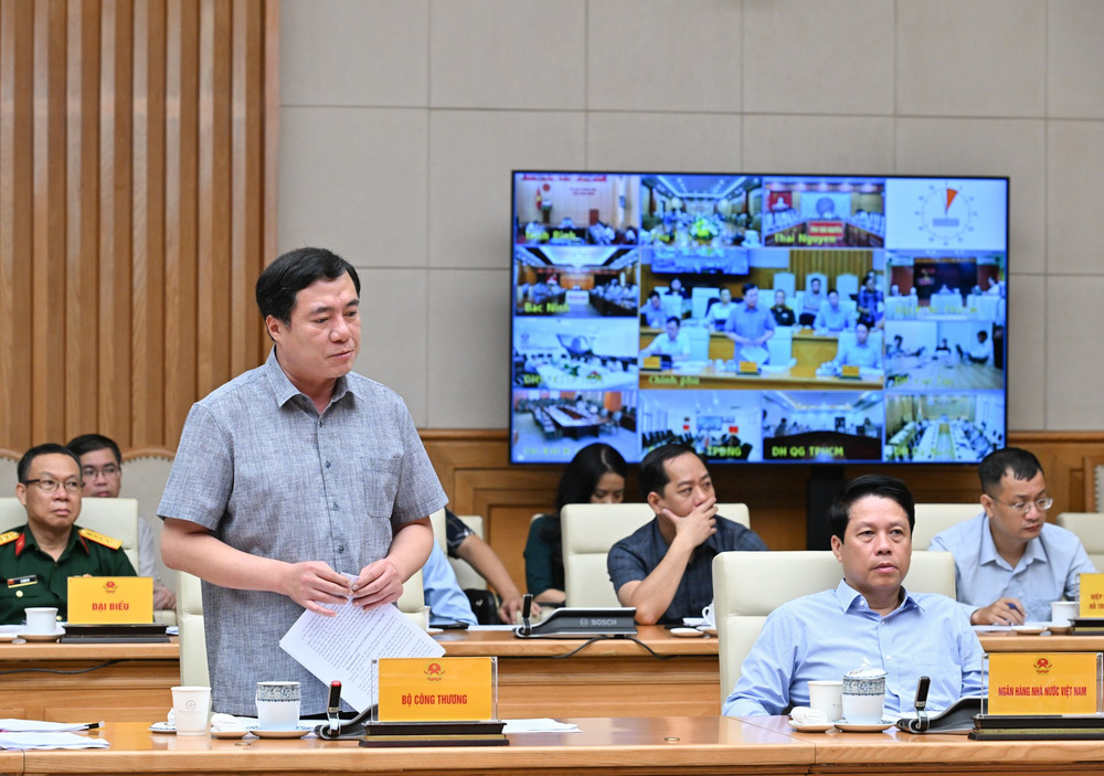 Thứ trưởng Bộ Công thương Nguyễn Sinh Nhật Tân phát biểu. dsc-2439.jpg