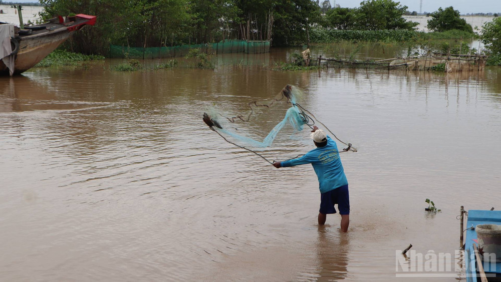 Chài cá bên dòng kênh. ndo_br_a3-1.jpg