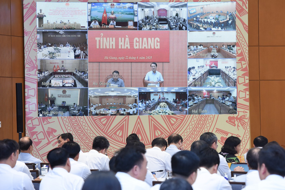 Hội nghị kết nối từ điểm cầu chính Trụ sở Chính phủ đến trụ sở UBND các tỉnh, thành phố trực thuộc Trung ương. dsc-4442.jpg