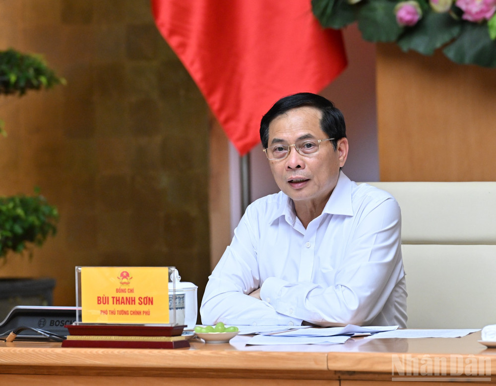 Phó Thủ tướng, Bộ trưởng Ngoại giao Bùi Thanh Sơn phát biểu. ndo_br_dsc-7086.jpg