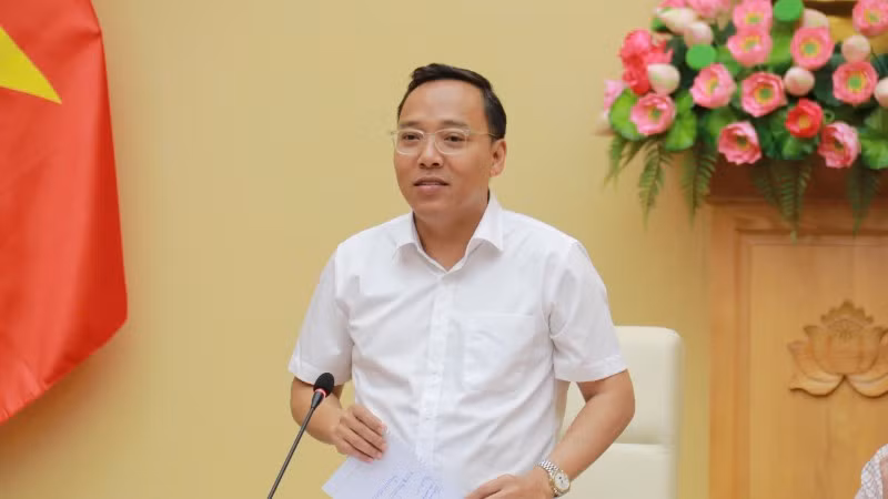 Thứ trưởng Bộ Công thương Nguyễn Hoàng Long. 