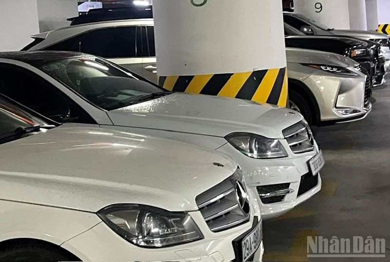 Sửa đổi, bổ sung quy định về đấu giá hạn ngạch thuế quan nhập khẩu ô tô đã qua sử dụng. (Ảnh: KIM DUNG)