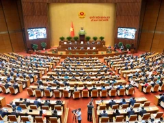 Toàn cảnh Kỳ họp thứ 10, Quốc hội khoá XV.