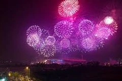 Pháo hoa rực rỡ trên bầu trời khu vực Sân vận động Mỹ Đình (Hà Nội).