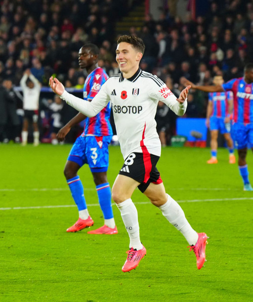 Chính Harry Wilson từng ghi bàn thắng muộn vào lưới Palace. (Ảnh: FulhamFC)