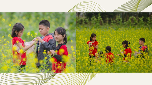 Vui cùng nương cải.