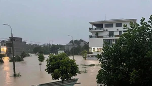Tập trung ứng phó với mưa lớn ở miền núi trung du Bắc Bộ