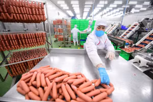 Người lao động tại Công ty LC Foods. (Ảnh nhandan.vn)