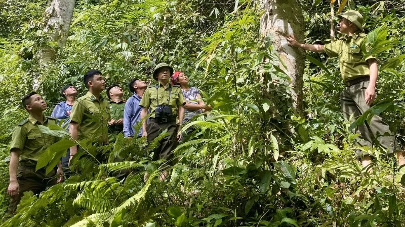 Lực lượng kiểm lâm địa bàn xã Sín Thầu cùng nhân dân tuần tra bảo vệ rừng.