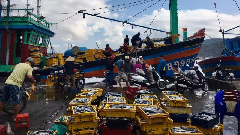 Khai thác thủy sản là nghề chính của người dân tại nhiều vùng biển.